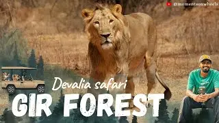 Gir Jungle safari | Sasan Gir | Devalia safari | Exploring Gujarat #girforest #jeepsafari 