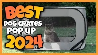 TOP 5:✅Best Pop Up Dog Crate (kennels) Dog Cage 2024-2025 #dogcage #dogcrate #dogkennels #playpen