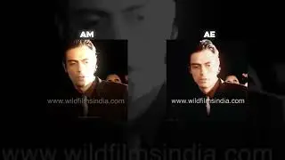 ARJUN RAMPAL Edit | AM,AE | XML #xml_file #alightmotionedit #alightmotionpreset #alightmotion 