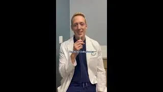 Why Endodontists Choose Aspen Dental: Flexibility, Autonomy, and Collaboration