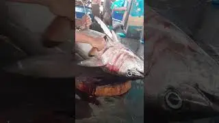 technik memotong ikan di terbaik #fishcutting #fish #fillet #shorts