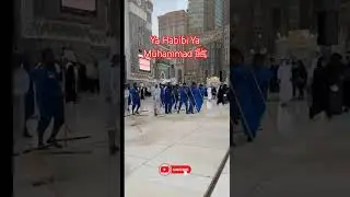 Ya Habibi Ya Muhammad ﷺ | One Line That Heals Hearts#shortvideo #love #shortsfeed #shorts