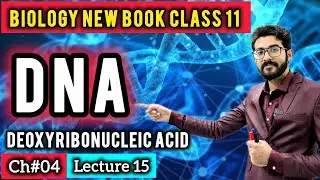 Structure of DNA Class 11 | Double Helix, Nucleotides & Base Pairing | Biology New Book