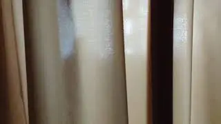 VID 20200415 145555