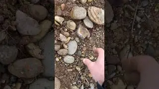 Great Agate Prairie Desert Seam. #crystals #rockhounds #oregon #mineral #gems #rockhound #rock