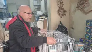 طريقة تجميع القفص في ثواني⁉️الشغل القديم خلص🤌والشغل الجديد نزل👌وكله بالأسعار💯 مع الحج سمير مصنع تيتو