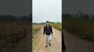 Внезапно появляется игривый призрак и