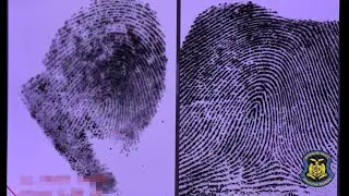 National Forensic Science Week - Latent Prints