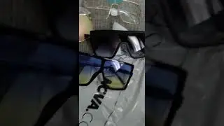 fashion nova sun glasses