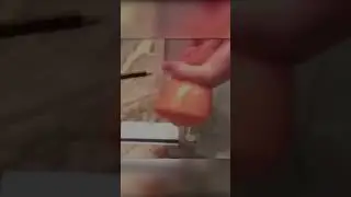 Pocket Pussy