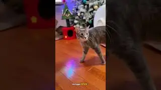 Life gets so much easier with the right pet tech 🐾✨
