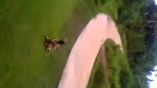 Jeremy gone wild