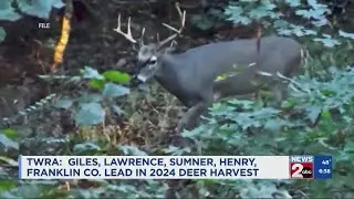 TWRA: Giles, Lawrence, Sumner, Henry, Franklin Co. lead in 2024 deer harvest