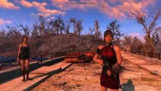 Fallout 4 Mods PC - HOT DOG