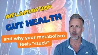 Inflammation, Gut Health, and Why Your Metabolism Feels 