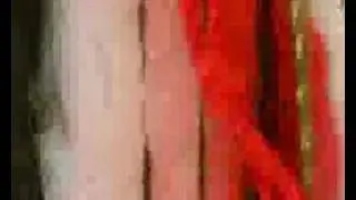 'PAMPAU' Animaci&oacute;n sobre film
