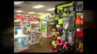 Small Dog Boutique - Best Place For All Your Dog Needs
