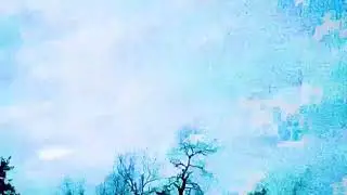 DAYLIGHT MUTILATION