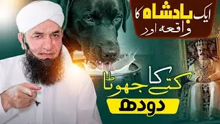 Ek Badshah Ka Waqia Aur Kuttay Ka Jhoota Doodh |Naeem Butt ایک بادشاہ کا واقعہ اور کتے کا جھوٹا دودھ