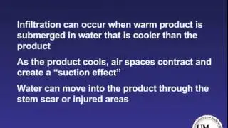 What is the risky effect of hydrocooling?