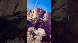 #usa #naturelovers #mountainview #nationalforests #landscapevideo #utah #mustvisitdestination