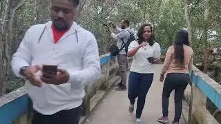 Taki Mini Sundarban /মিনি সুন্দরবন, টাকি ইছামতী নদীর তীরে ভারত বাংলাদেশ সীমান্ত অবস্থিত।