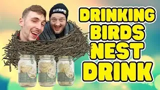 Drinking Birds Nest Drink | WheresMyChallenge