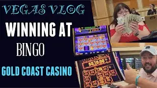 ДЕНЬ 6 / МЫ ВЫИГРАЛИ 3 КОМБИНЕЗОНА ПО 1000 ДОЛЛАРОВ В КАЗИНО GOLD COAST / ЕЩЕ БОЛЬШЕ ВЫИГРЫШНЫХ С...