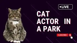 WHAT IS A CAT ACTOR?