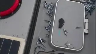 The flying finish clean Up 🧼 