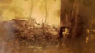 GAU RAKSHA || First  movie on cow protection! ||produced by NITIN GUPTA||