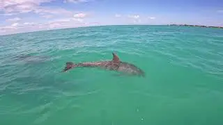 Florida Keys 2021
