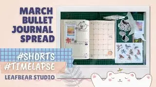 Bullet Journal Spread - March 2021 #shorts #bujo #timelapse