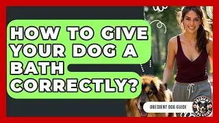 How To Give Your Dog A Bath Correctly? - Obedient Dog Guide