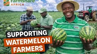 How Farmshare Africa Supports Watermelon Farmers in Kenya | From Planting to Profits