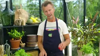 Pizza p&aring; grillen med chilimarinerade tomater - Sommarkrysset (TV4)