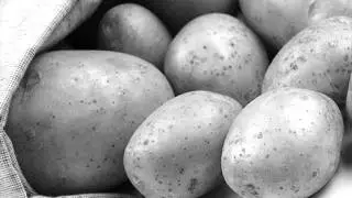 Patatoing 2012 - Dr.Manwell