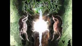 Mucopus - Undimensional