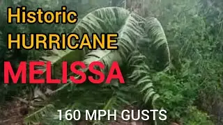 HURRICANE MELISSA Devastating Impact on St. Mary JAMAICA #stormchasing #hurricane #melissa