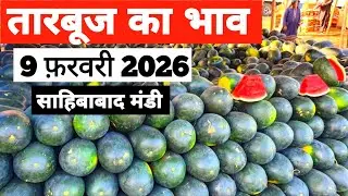9 February 2026 🍉Watermelon price Sahibabad Mandi | today watermelon rates #tomato #mandi #tarbooz 