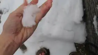 An Update On The West Midlands Snow