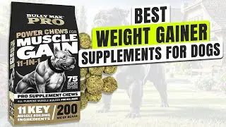 3 BEST Weight Gainer Supplement For Dogs