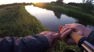 Karup &Aring; uden rusk i linen men det g&oslash;r ikke s&aring; meget med s&aring;dan en kulisse :-)