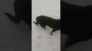 пожар