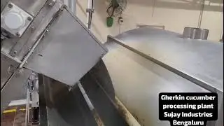 Gherkin Cucumber Washing Blanching Machinery