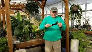 Gardening Tools Demystified: Part 2 - Hori Hori Japanese Gardening Knife