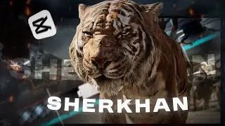 Sher Khan &ndash; The Beast Awakens! 🐅🔥 | Jungle Book Edit