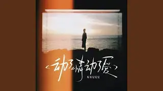 动了情动了爱