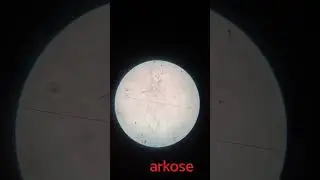 arkose sandstone rock xpl slide photo  #geologyoptional #microscope