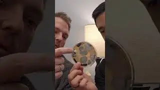 How The Docs Use EC3 Mold Test Plates In Their Practice